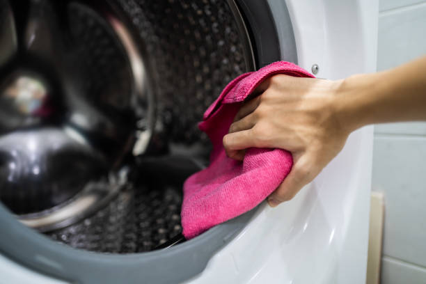 Reliable Clarendon Hills, IL Mold Removal Solutions