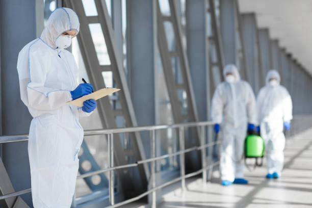 Best Black Mold Removal  in Clarendon Hls, IL
