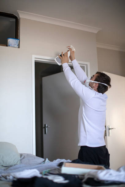 Best Emergency Mold Remediation  in Clarendon Hls, IL