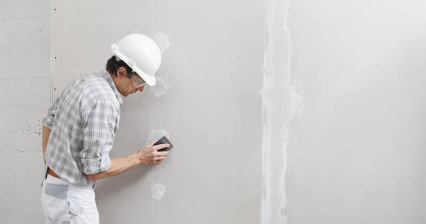 Best Real Estate Mold Inspection  in Clarendon Hls, IL