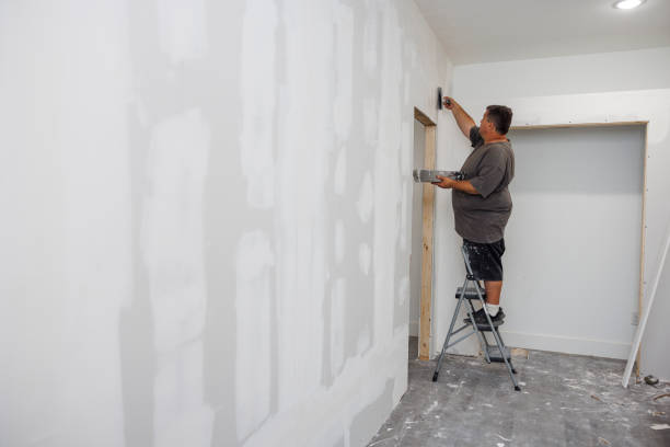 Best Asbestos and Lead Testing During Mold Inspection  in Clarendon Hls, IL