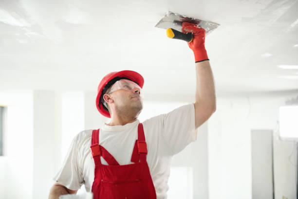 Best HVAC Mold Inspection and Cleaning  in Clarendon Hls, IL