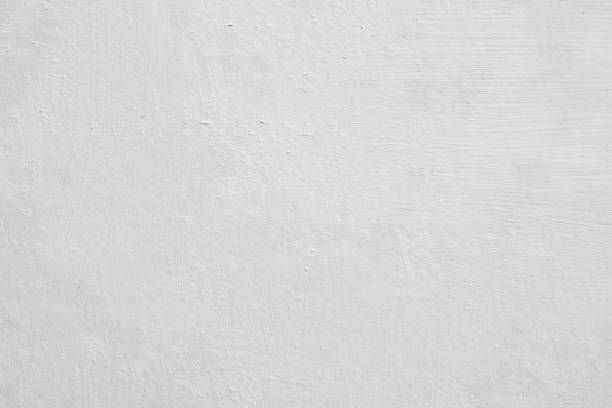 Mold Remediation for Rental Properties in Clarendon Hills, IL