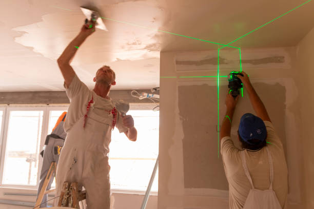 Best Crawl Space Mold Remediation  in Clarendon Hls, IL