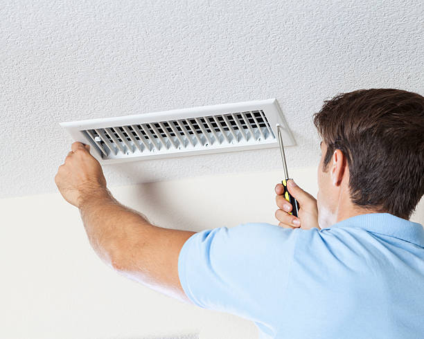 Best Basement Mold Removal  in Clarendon Hls, IL